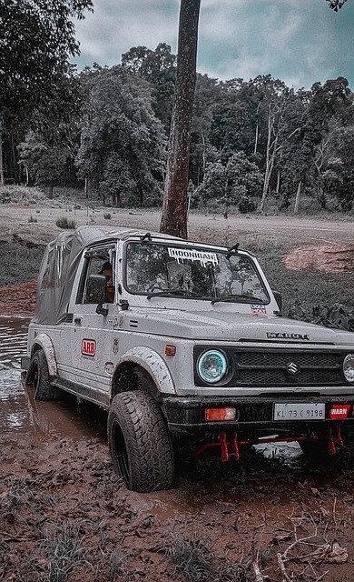 调控球可能 调控球可能