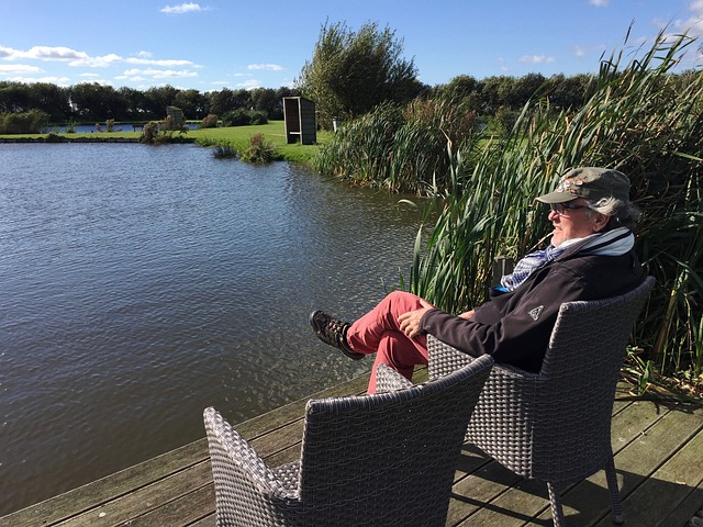 公众人物或 公众人物或