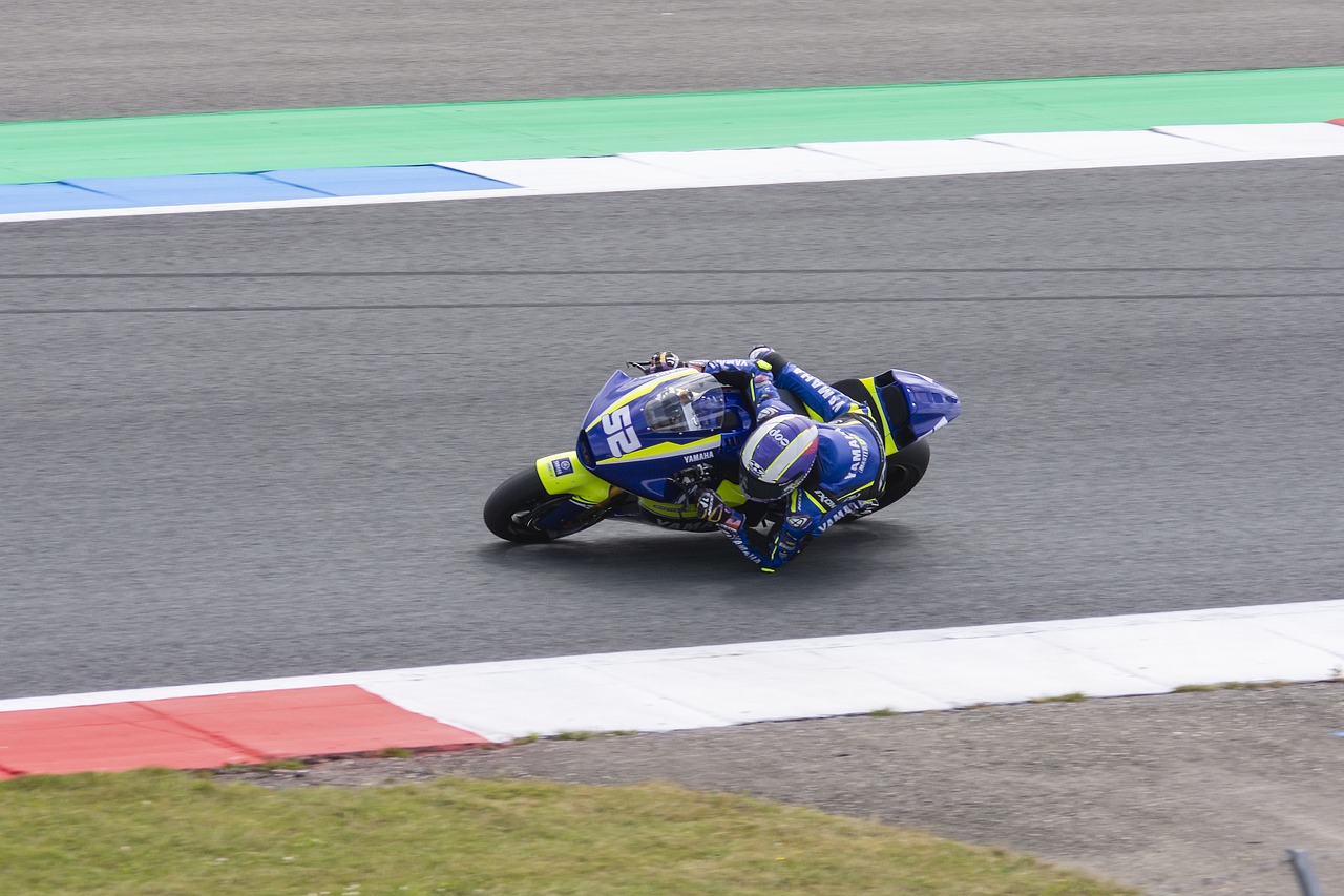 赢得了无数 赢得了无数