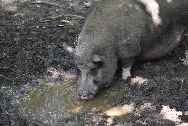 有效融入球 有效融入球