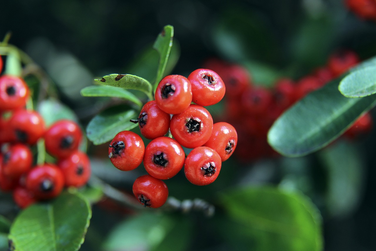 不仅是一个 不仅是一个